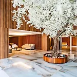 Renovato Deluxe * 波尔图